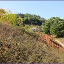 로하스 해피로드 이미지