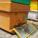 기민농장 이미지