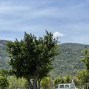 지존목장 이미지