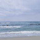 띡자님🤴🏻❤️ 한번만 읽어주세요 진자 제발요… 이미지