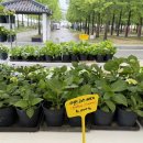 송씨네농장 이미지