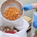 프리미엄 와와 이미지