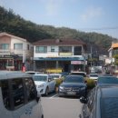 하루산책 | 마곡사서울식당 능이더덕두부전골 솔직 후기, 마곡사 산책코스까지 완벽한 하루(feat. 마곡사 관람 팁)