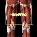 투와이핏 이미지