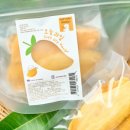 참소프트 이미지