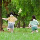 아띠숲 어린이집 | 아이 모기 걱정 끝! 귀여운 토끼 디자인 키즈 모기차단복 사용기