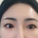장유 속눈썹펌 맛집 더문샵 속눈썹 펌 잘 하는곳 후기