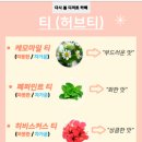 다시;봄디저트카페 이미지