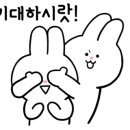 에디슨카튜닝 이미지