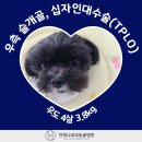 언제나동물병원 이미지