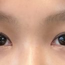 디자이너성형외과의원 이미지