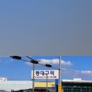 동대구역안내소 이미지