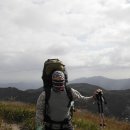 아모레 미오 이미지