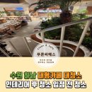 푸른씨에스