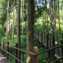 01.06(금)~08(일) 행복한 동행 남해,강진여행 2박3일 신청해 주세요 이미지