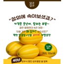 [소상공인 국비지원][6/7] 쉽게하는 SNS, 블로그 온라인 마케팅(야간) | 팔아요~가격은 못난이, 참외는 로얄~한국외대 소상공인 진흥원 진행,스마트스토어 오픈부터 노출 검색어...