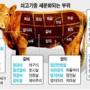 대관령축산 - 수원시 장안구 파장로68번길 18 | 대관령축산