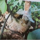 김신중농장 이미지