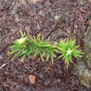 거북가든 이미지