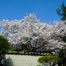 왕인박사유적지 이미지