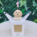 월월스낵 이미지