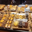 진달래카페 이미지