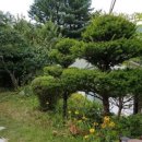 강림면350 이미지