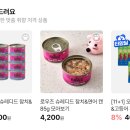 미래펫 이미지