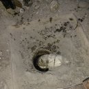 당동 주공2-2 이미지