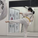 ITF 태권도 송파도장 | 부산성인태권도 ITF태권도 7개월 후기, 올해 초록띠가 될 상인가?