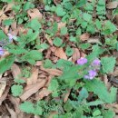 제비농장 이미지