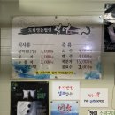 도림장어 이미지