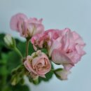 송*석 이미지