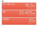 새터 이미지
