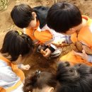 도림농장 이미지