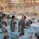 가나몬테소리 이미지