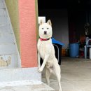 종달오션뷰 이미지