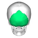 엠에스피지컬 이미지