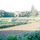 남원읍-126 이미지