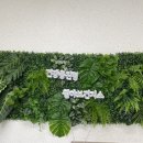 월야보건지소 이미지