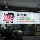 쌉돼지 이미지
