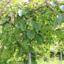 다래유통 이미지