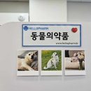 강동동물약국 이미지