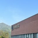 현구목장 | 골프 I 김천포도CC 넘넘 즐거웠던 여름 골프 후기