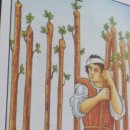 취미로 배워보는 타로카드 이미지