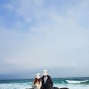 영진목장 이미지