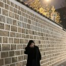 025S 티솔로지 이미지