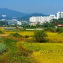 당산행정사사무소 이미지