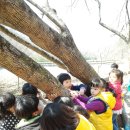 하늘 숲 어린이집 이미지