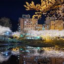 동신대학교 미래학사 앞 이미지